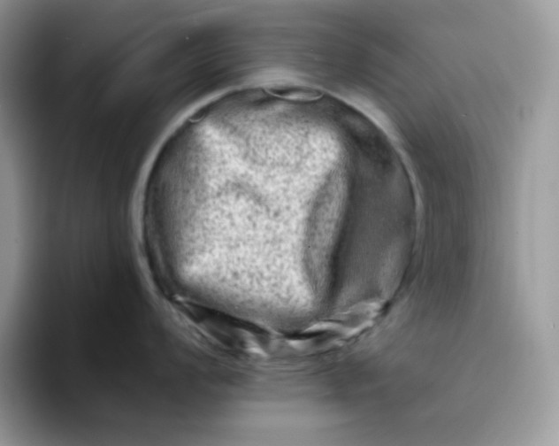 X0000094201008200711091216