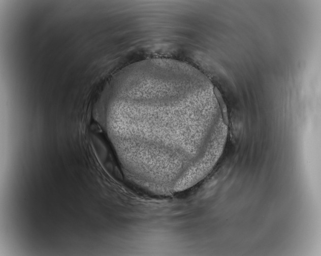 X0000094201010200711091215