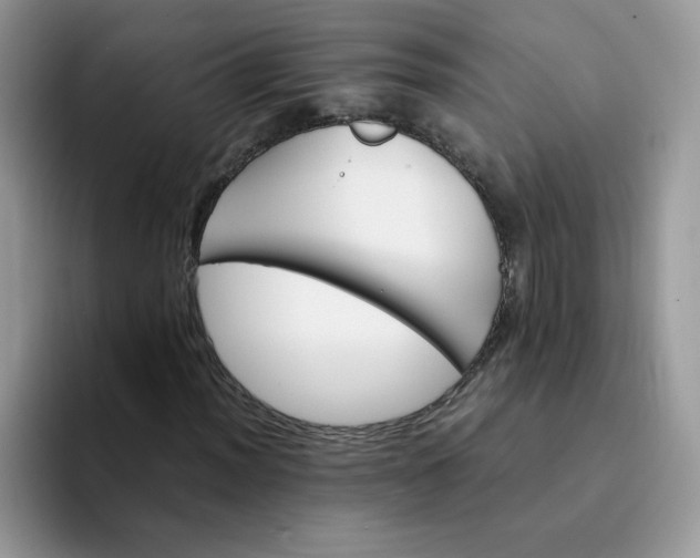 X0000094201012200711091215