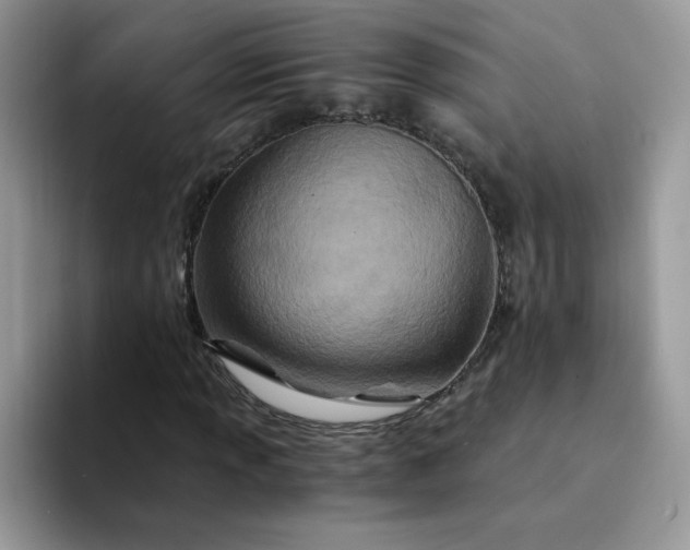 X0000094201013200711091215