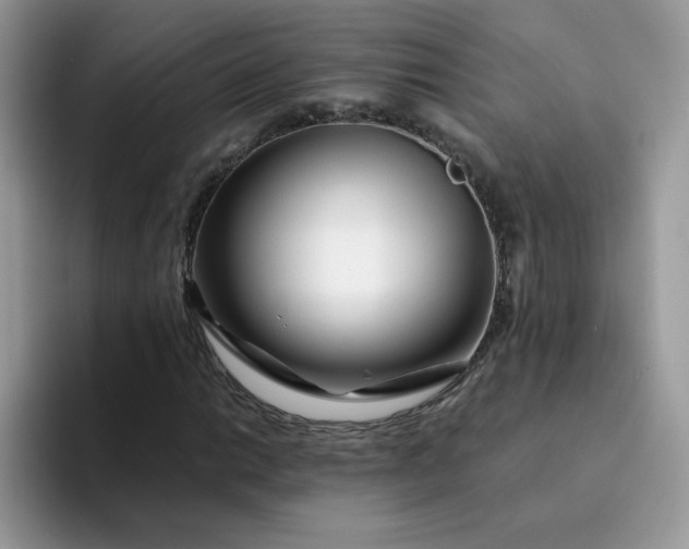 X0000094201014200711091215