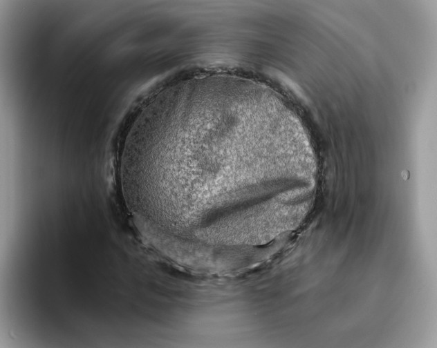 X0000094201016200711091215