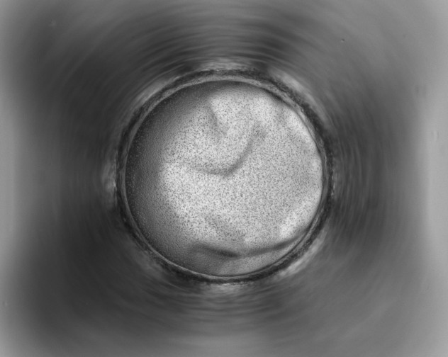 X0000094201017200711091215