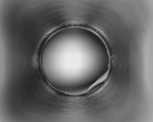 X0000094201018200711091215