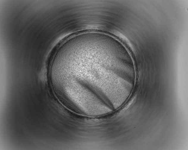 X0000094201019200711091215