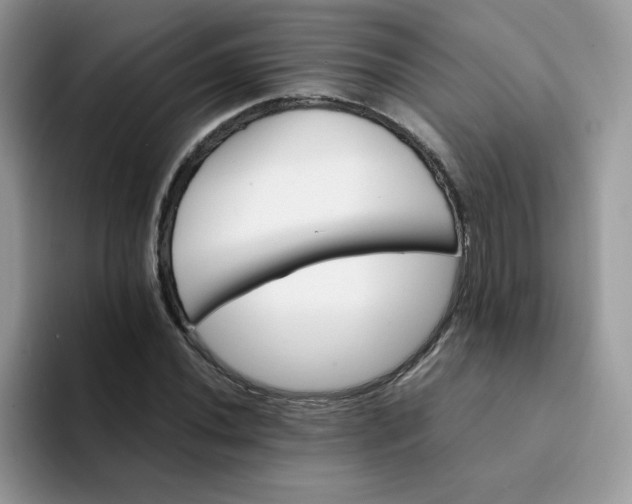 X0000094201020200711091215