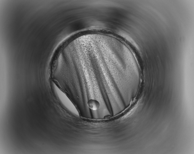 X0000094201021200711091215