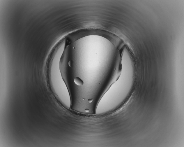 X0000094201022200711091215