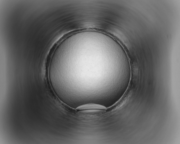 X0000094201023200711091215