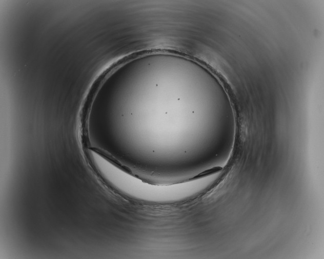 X0000094201024200711091215