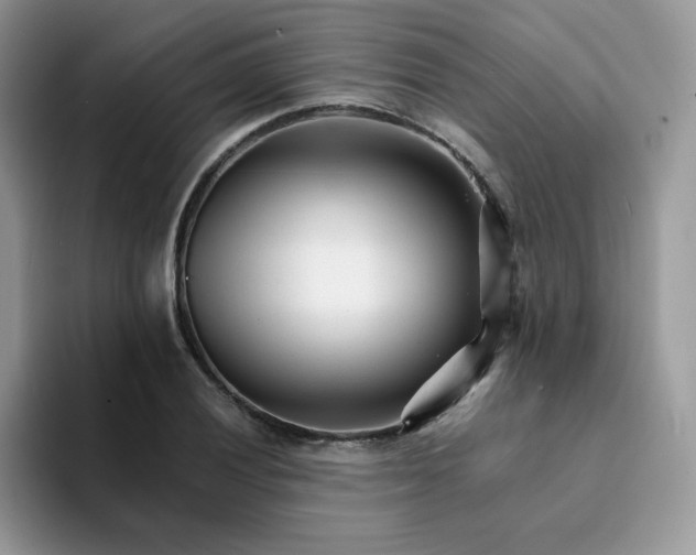 X0000094201028200711091215