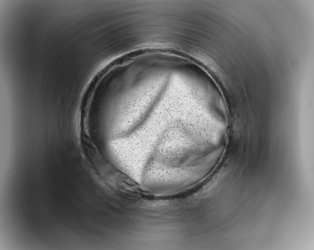 X0000094201030200711091215