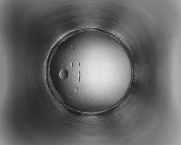 X0000094201031200711091215