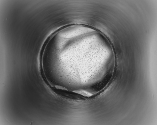 X0000094201032200711091215