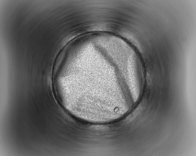 X0000094201033200711091215