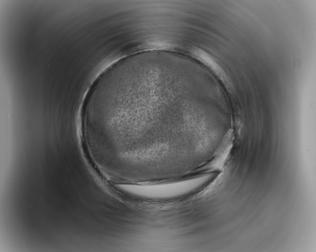 X0000094201034200711091215