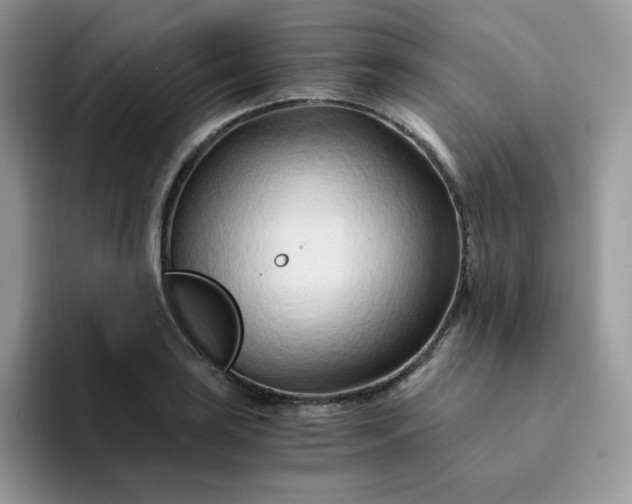 X0000094201035200711091215