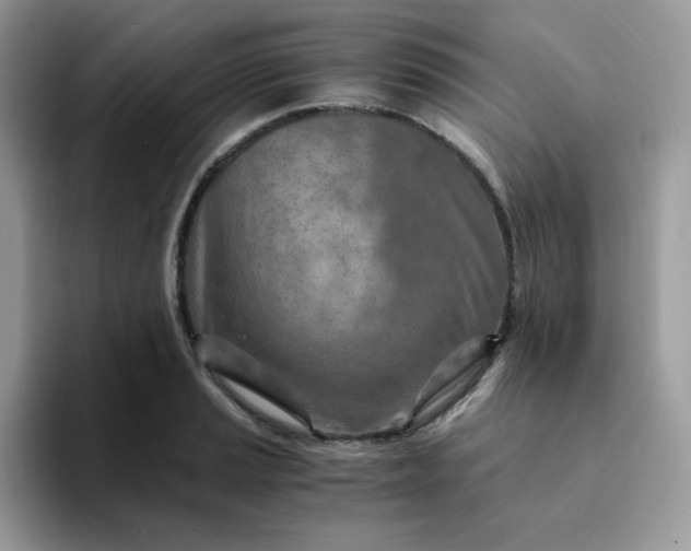 X0000094201037200711091215