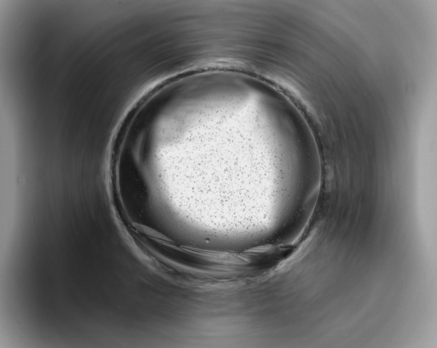 X0000094201038200711091215