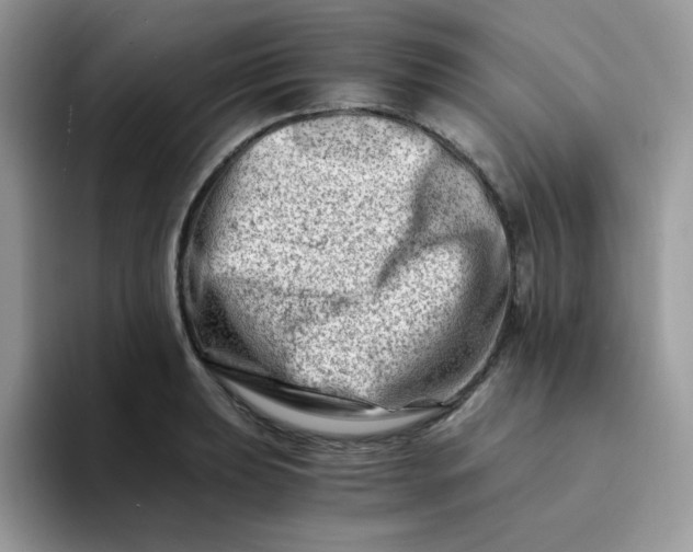 X0000094201039200711091215