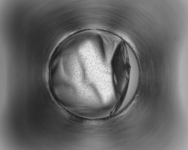 X0000094201040200711091215