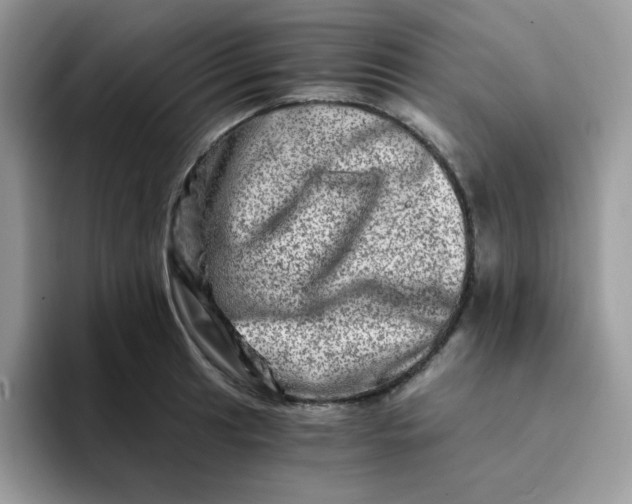 X0000094201041200711091215