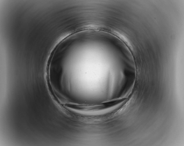 X0000094201042200711091215