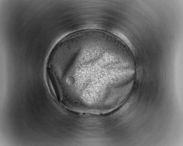 X0000094201043200711091215