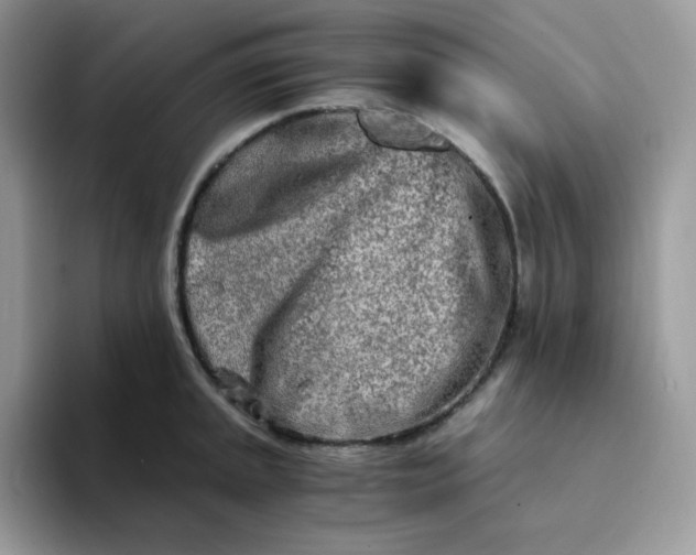 X0000094201045200711091215