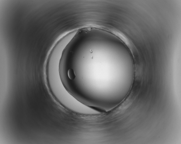 X0000094201048200711091215