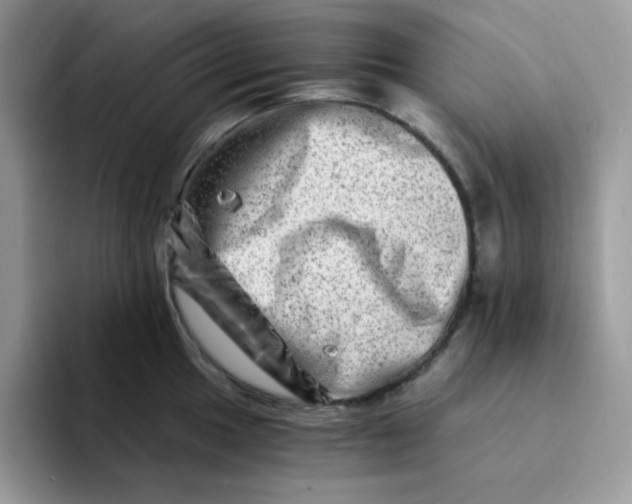 X0000094201049200711091215