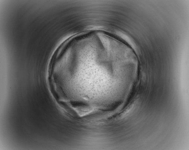 X0000094201050200711091216