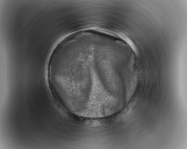 X0000094201051200711091216