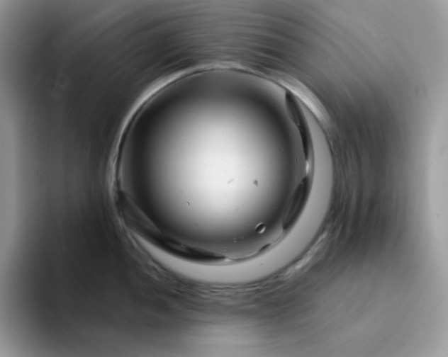 X0000094201052200711091216