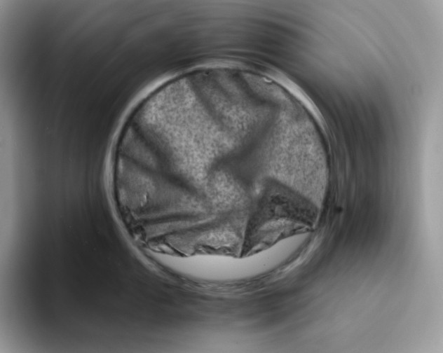 X0000094201053200711091216