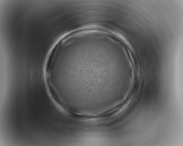 X0000094201054200711091216