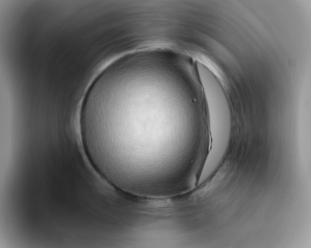 X0000094201055200711091216