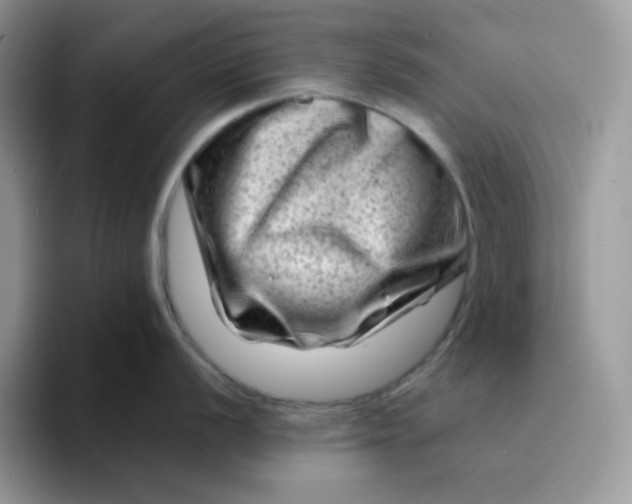 X0000094201056200711091216