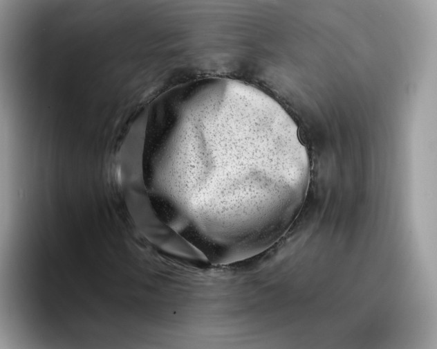 X0000094201058200711091215