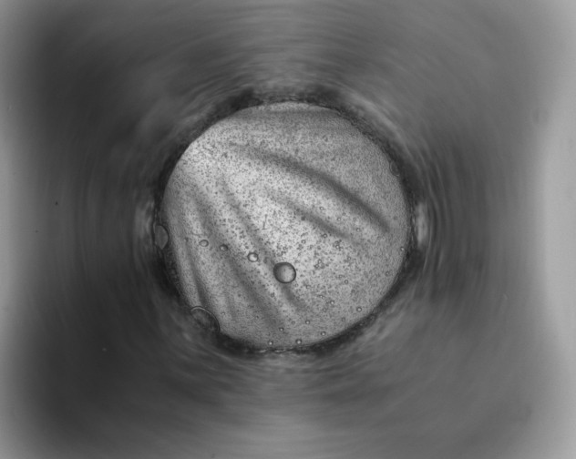 X0000094201059200711091215