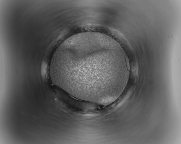 X0000094201060200711091215