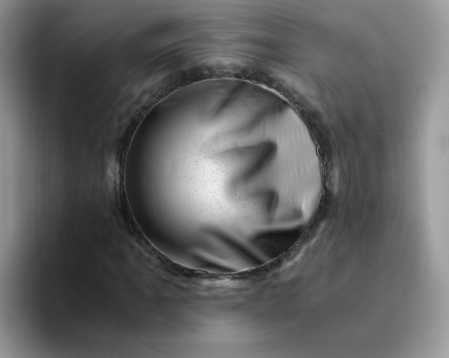 X0000094201061200711091215