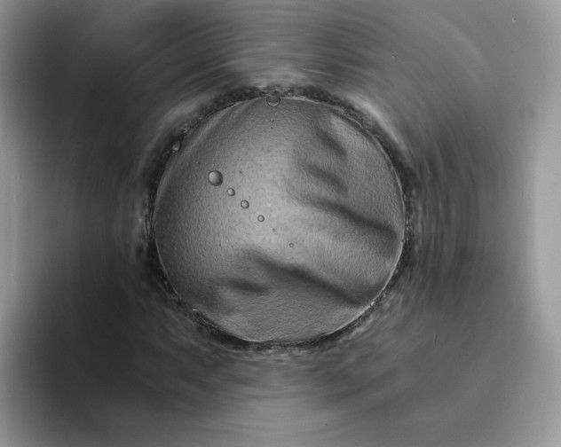 X0000094201063200711091215