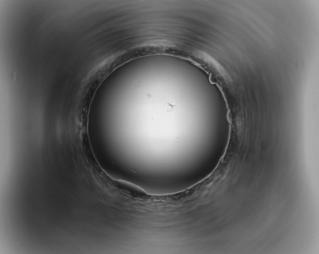 X0000094201064200711091215