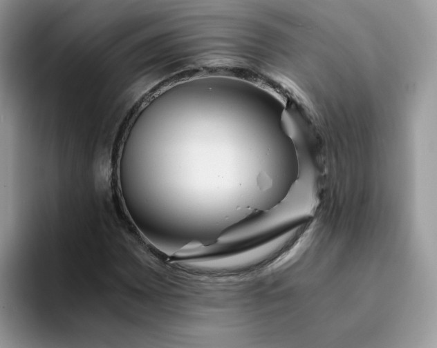 X0000094201065200711091215