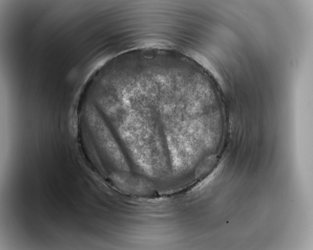 X0000094201067200711091215