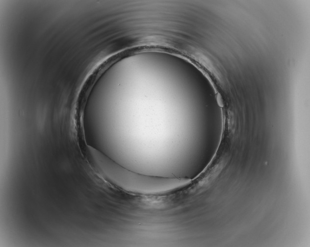 X0000094201068200711091215