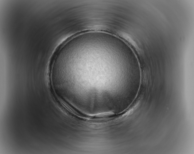 X0000094201071200711091215