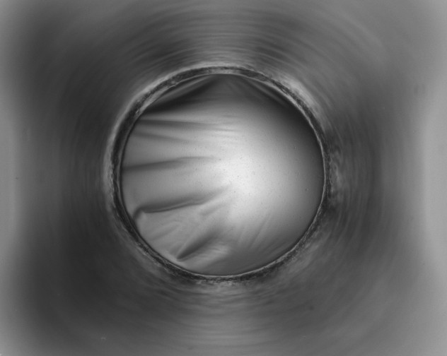 X0000094201072200711091215