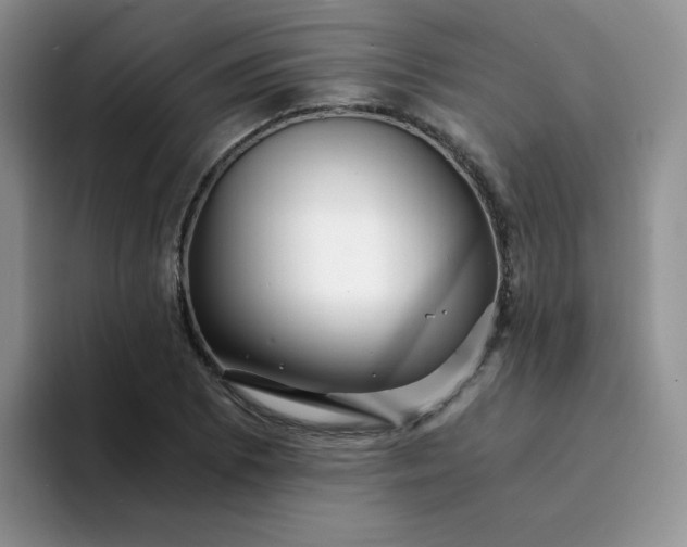 X0000094201073200711091215